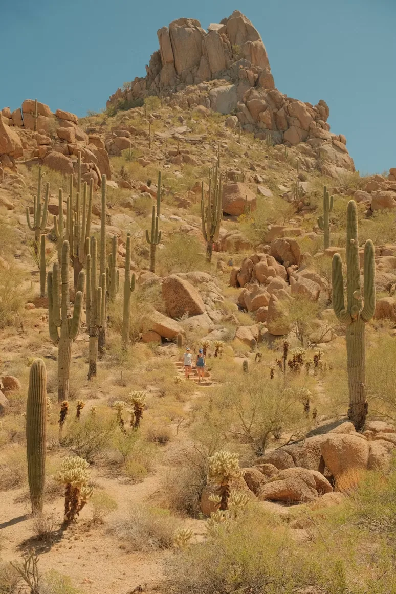 Pinnacle Peak Scottsdale private investigator field coverage in North Scottsdale
